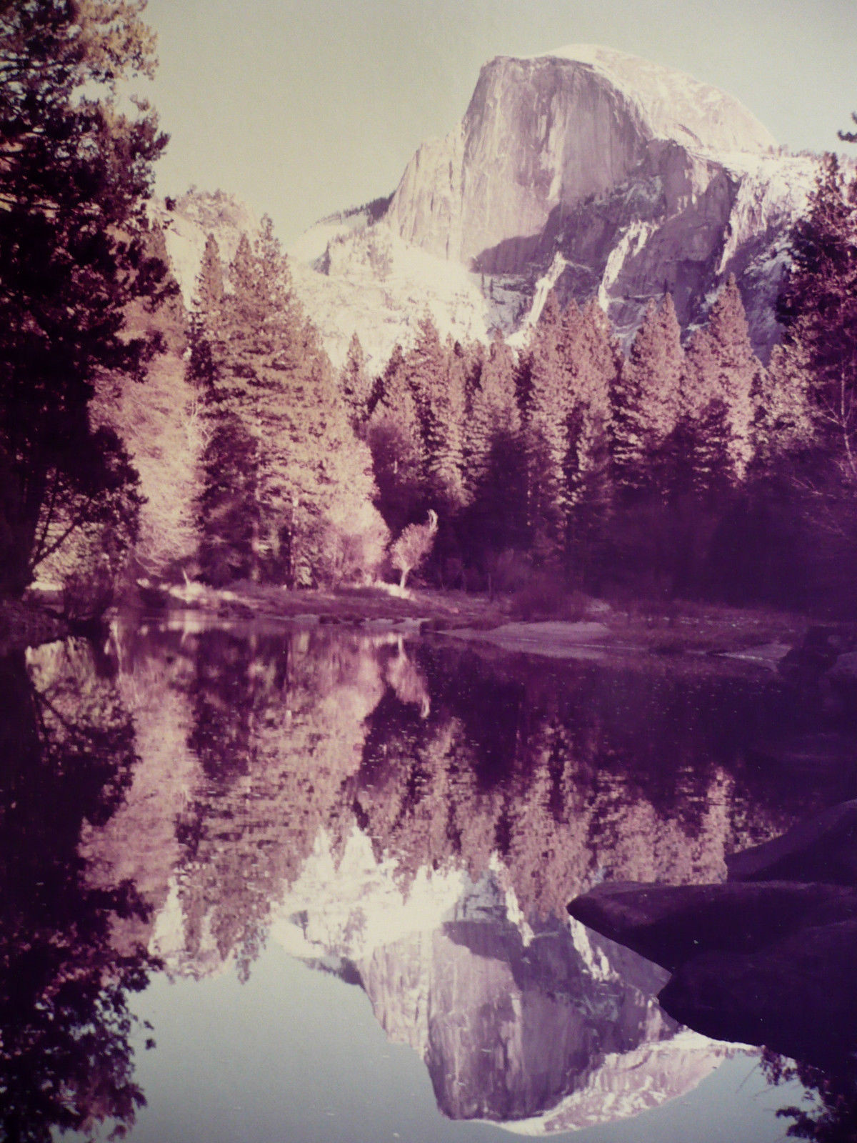 Picture 4 of 11