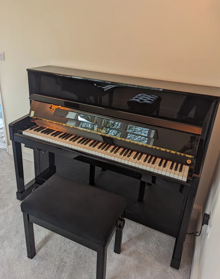 Sistema silencioso vertical Petrof 2022 Foto 2 de 4