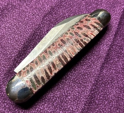 Northwoods Freemont Jack Stabalized Coral