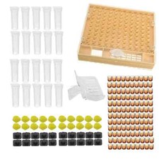 Complete Queen Rearing System Kit King Cultivating Box Plastic Bee Cells Cups