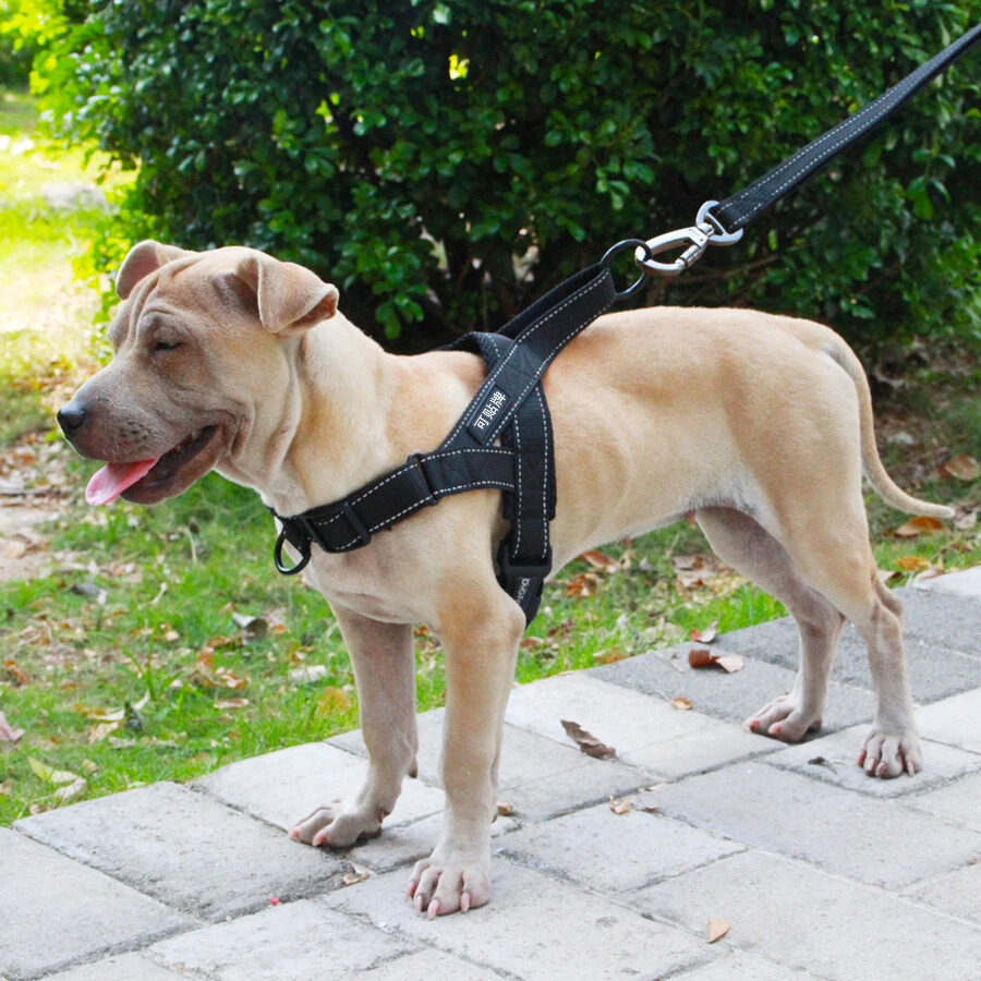 Dog Harness Leash Rope Set Adjustable Dogs Chest Back Traction Rope Durable Outd