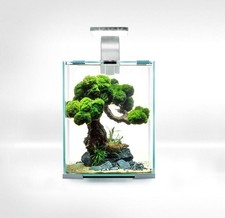 AQUAEL Shrimp Set LED 30L Day&Night Garnelenbecken Aquarium Garnelen 29x29x35cm