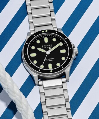 【～5/25最終】 ダイバー FISK SKW6666 スカーゲン SKAGEN スカーゲン SKAGEN SKW6666 スカーゲン 時計 メンズ レディース