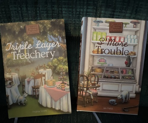 Lot 11 Annie's Chocolate Shoppe Mysteries HBDJ Bittersweet Demise Sweet Sabotage - Imagen 5 de 7