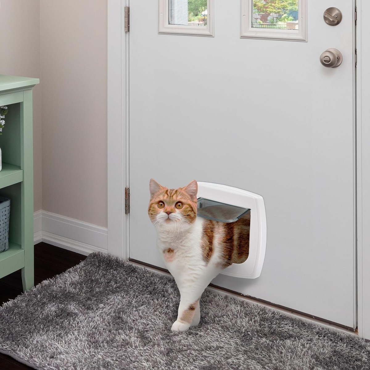 Ferplast Cat Flap, Dog Flap, Door for Cats and Small Dogs SWING