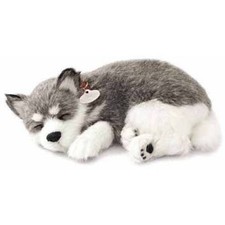 Perfect Petzzz Husky Plush Sleeping Puppy With Bed  Box