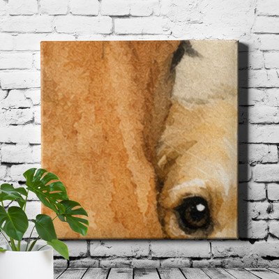 Watercolor Horse and Dog Portrait Canvas Print Close Faces Soft Style