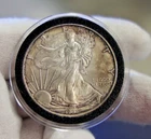 1996  US Silver Eagle $1 Nice Unc Better Year (Toned)