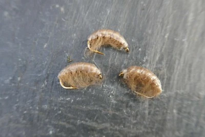 4 St. BACHFLOHKREBS Shrimp # 10 Gammarus Nymphe Bachforelle Äsche Barbe Forelle  - Bild 1 von 4
