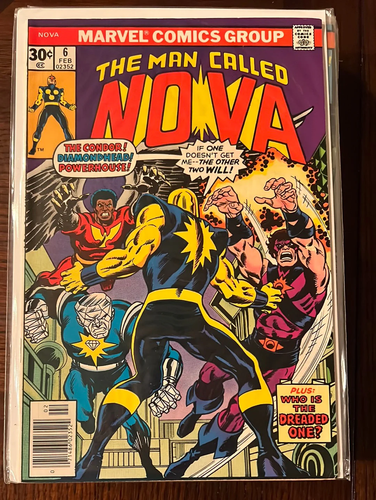 Nova - Picture 7 of 26