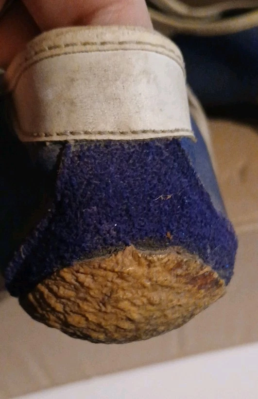 Adidas Avanti Vintage Hecho en Francia Azul Blanco Con Piezas Extra Foto 3 de 4