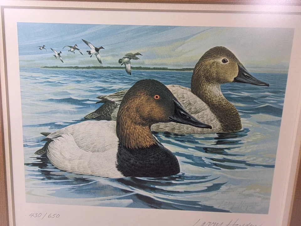 1977 Michigan State Duck Stamp Print Framed Larry Hayden Signed Number Art Print - Image 2 of 4