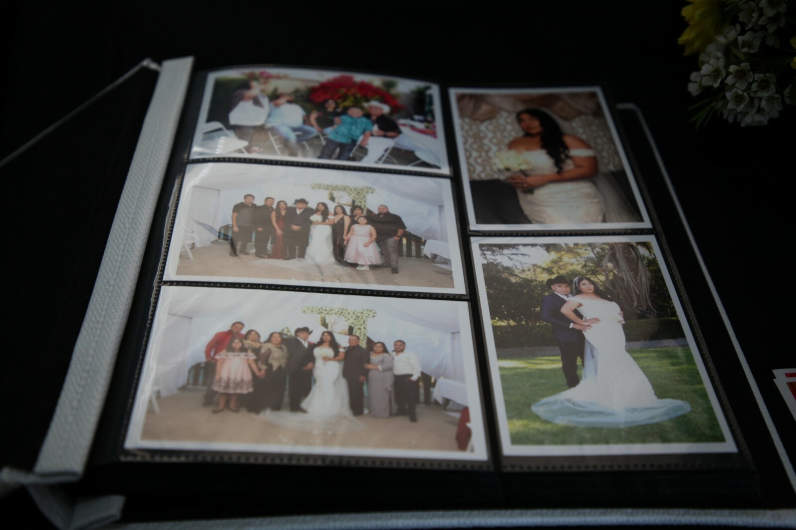 Picture 10 of 10