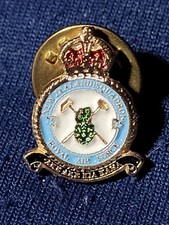 75th Squadron Royal New Zealand Air Force Lapel Pin