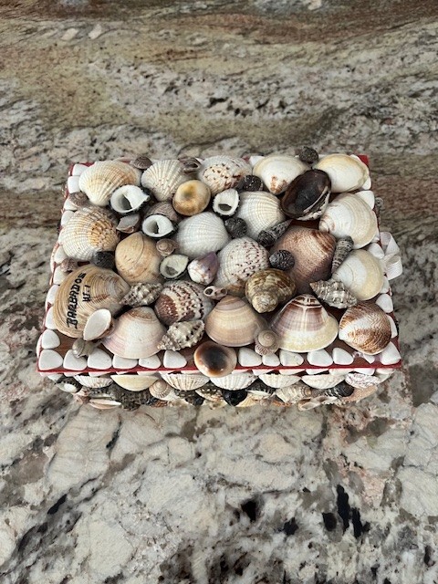 Seashell Shell Art  Trinket Jewelry Box Boho Beachy Souvenir Barbados Felt