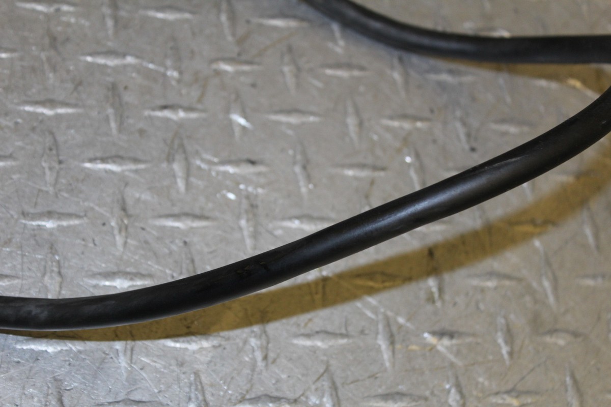 連絡用☆ 絵画 水中世界の魚の群れインテリア 絵画 美しい熱帯の風景アート