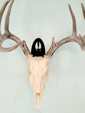 Deer Track European Mount Skull Hanger - Quick and Easy Display for Antlers