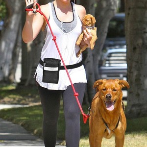 dog walking treat bag