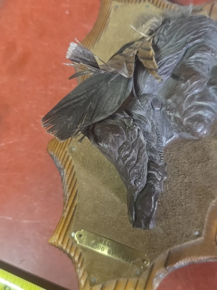 Neil J Rose Edición Limitada 16/500 Chief Zorro Rojo Medio Busto Montado en Gamuza y Placa de Madera Foto 4 de 4