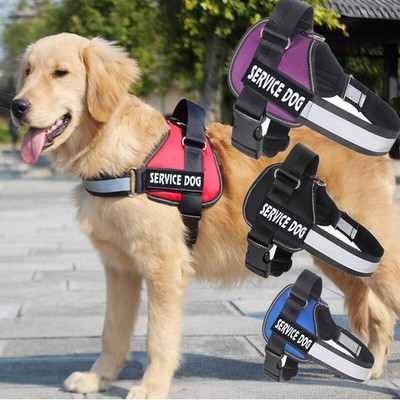 secure harness for small dogs