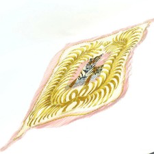 HERMES Carre 90 Double Face Roi des Tigres Scarf Silk Pink Womens Auth
