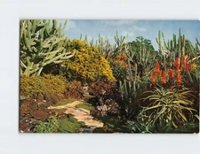 Postcard Moirs Pa U A Laka Gardens Koloa Hawaii USA