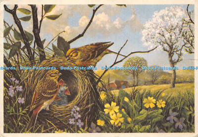 D013274 Vorbote der Feder. Aus einem Ölgemälde von Eric Tansley