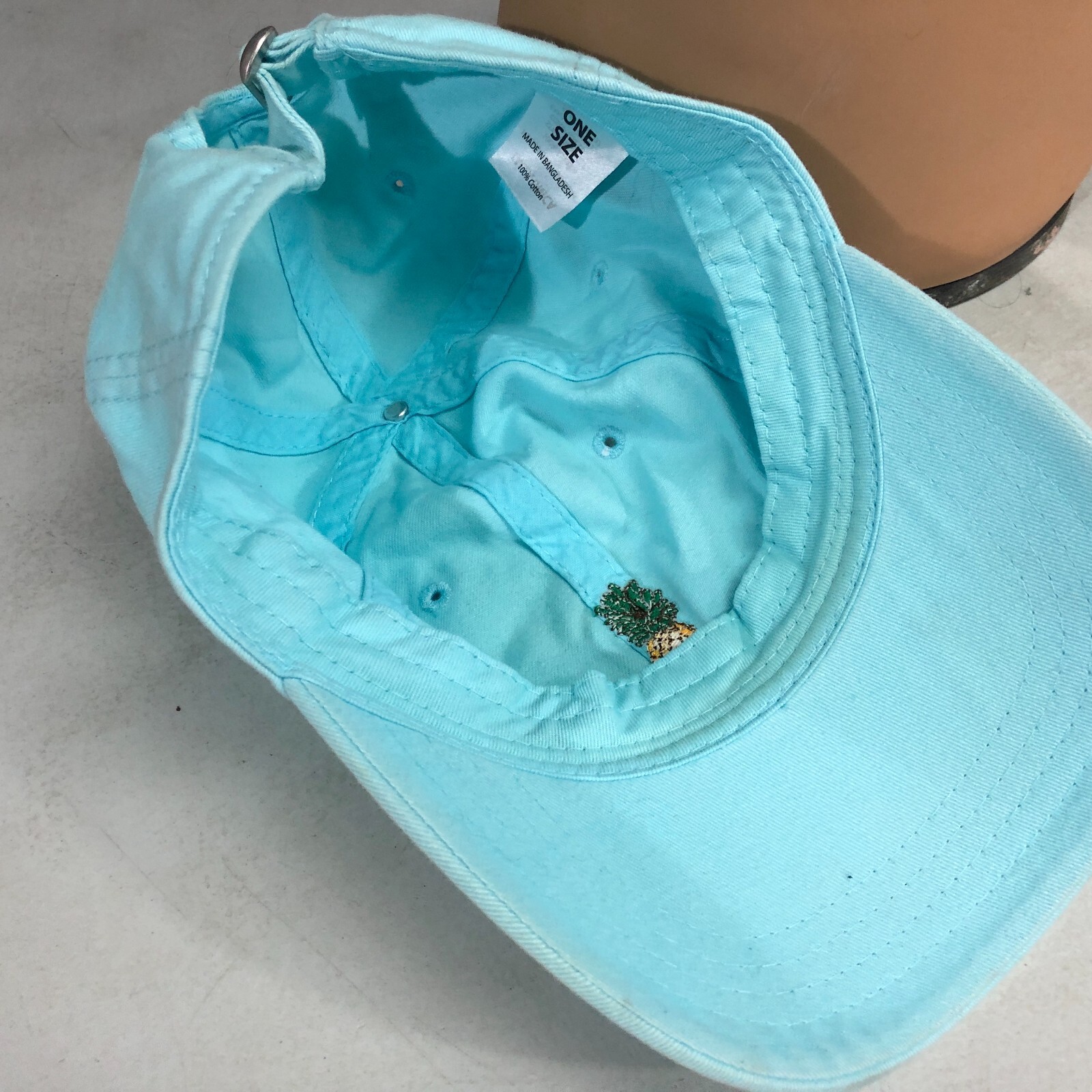Light Blue Pineapple Logo Strapback Baseball Cap … - image 4