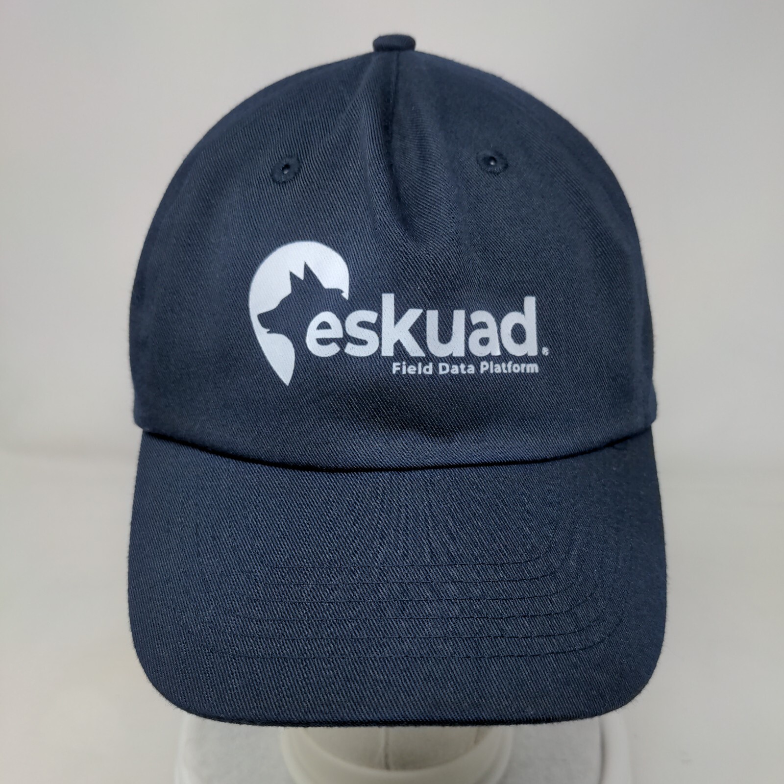 Eskuad Field Data Platform Strapback Hat Blue OSF… - image 2