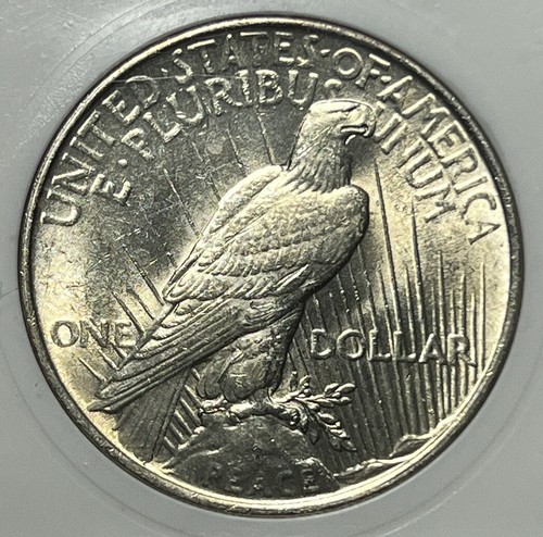 GEM BU TONED 1924 PEACE Dollar. - Picture 3 of 4