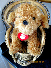 Waffle The Wonder Dog Plush Toy Tv Show Golden Bear Darrall MacQueen 9"      (X)