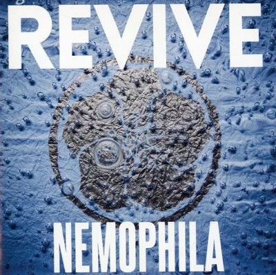 Japanese music CD NEMOPHILA / REVIVE [Regular edition]