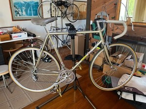 Masi Evoluzione | eBay