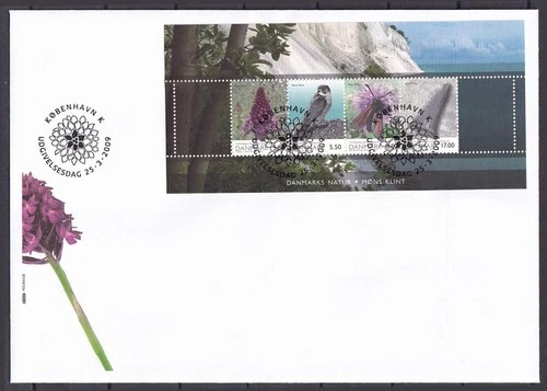 w1848/ Denmark Wildlife Falcon Sheet Block FDC Cover 2009