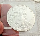 2013 American Silver Eagle - 1 OUNCE