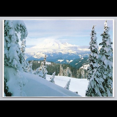 Vintage Postcard Mount Rainier Washington 1989 Unposted Scenic View Historic