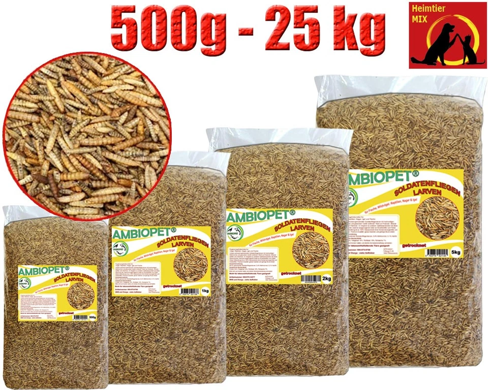AMBIOPET Hermetia Larven Soldatenfliegenlarven Auswahl wie Mehlwürmer Koi Vögel Reptilien