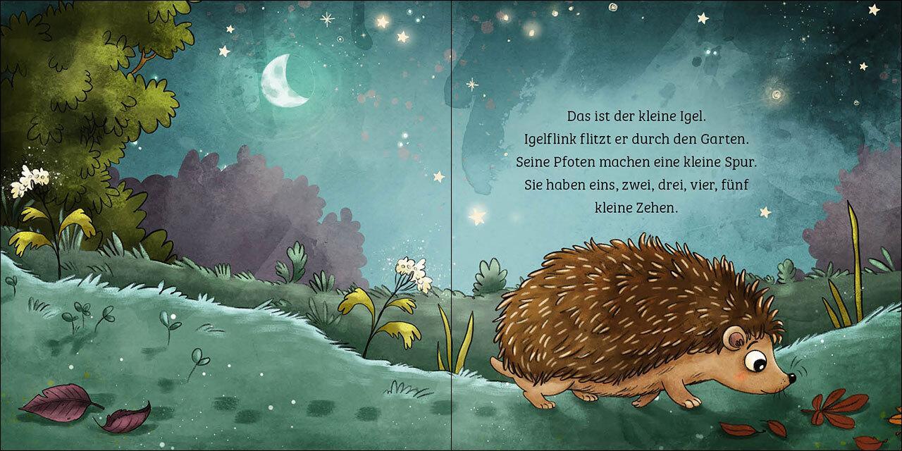 Thumbnail - Sandra Grimm Mein Erstes Naturbuch - Der Igel 9783743213159