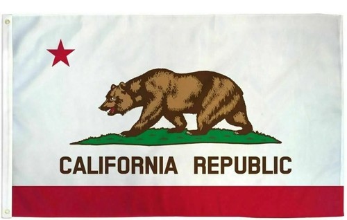 La triste storia dell'orso sulla bandiera dello stato della California La triste storia dell'orso sulla bandiera dello stato della California
