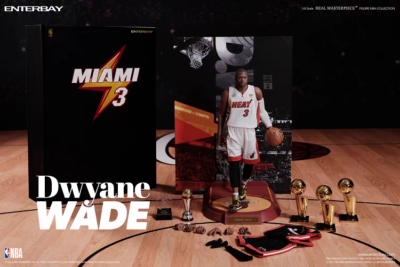 dwyane wade 6