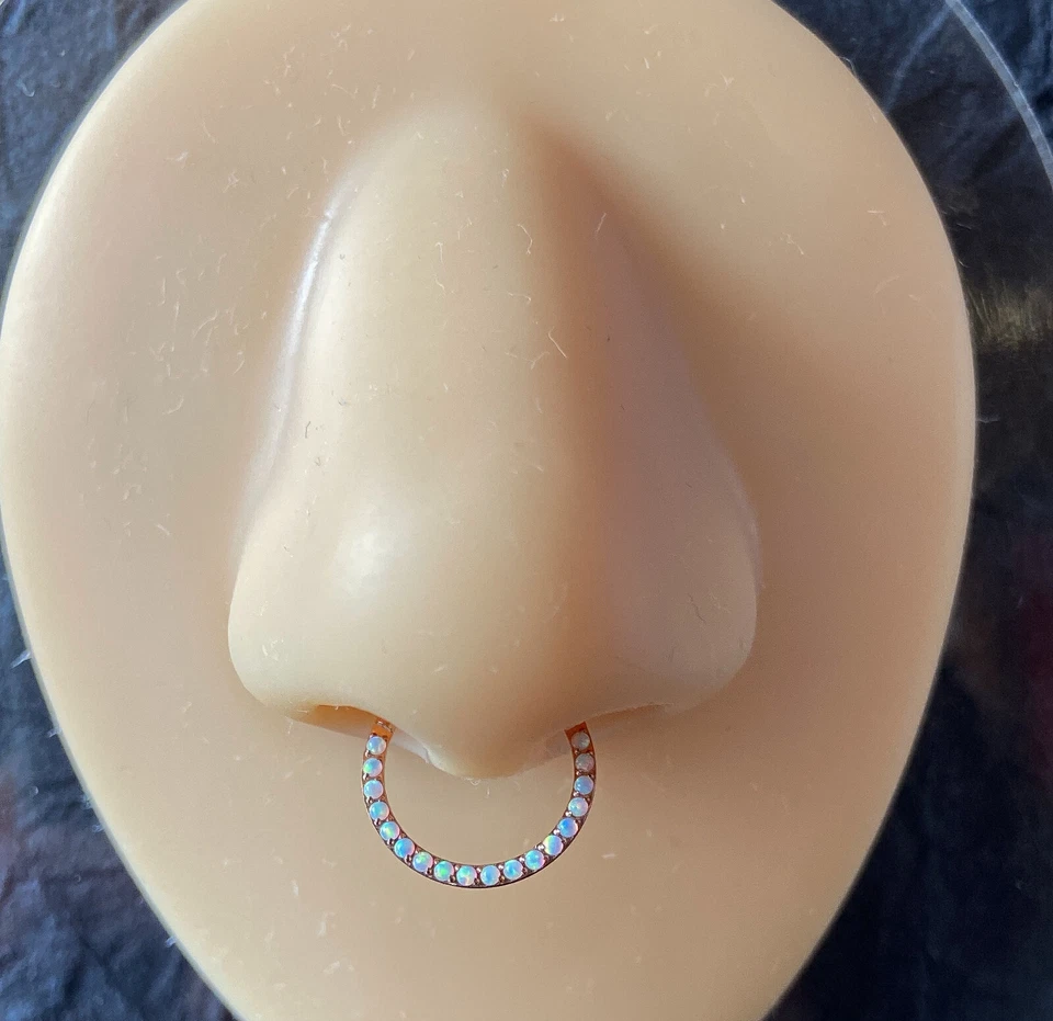 1 pieza Grado Implante Titanio Ópalo Pavimentado Frontal Bisagras Segmento Anillo Clicker Tabique Foto 3 de 4