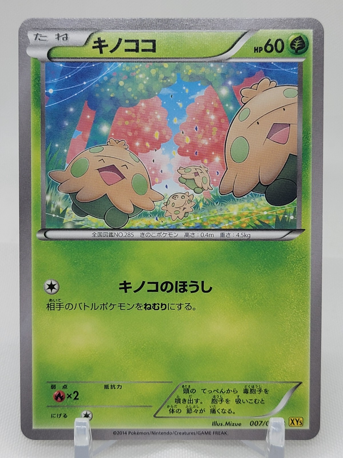 Shroomish 7/70 Unlimited XY5 Tidal Storm Japanese Pokemon Card