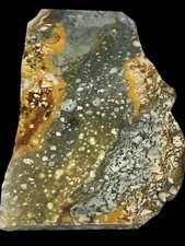 ROCKY BUTTE PICTURE JASPER SLAB  7.62oz UNPOLISHED Lapidary Rough Rock Mineral