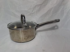 T-fal Stainless Steel 1 Quart Pot With Vented Glass Lid.