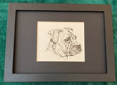 Bull Mastiff ''Head'' - MATTED | FRAMED | READY TO GIFT - 1963 Vintage Dog Print