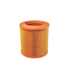 Filtre à air Rover 825