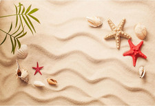 Sand Beach Backdrop 7x5ft Tropical Summer Seabeach Photo Background