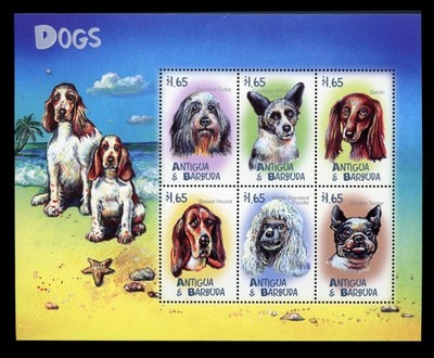 BOSTON TERRIER BEARDED COLLIE CORGI Dog Stamp Sheet Antigua & Barbuda 2000 MNH