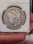 1880 CC Morgan Silver Dollar raw