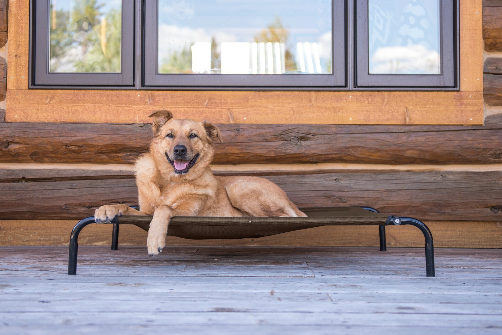 pawhut raised dog bed